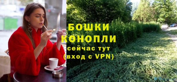 PSILOCYBIN Горно-Алтайск