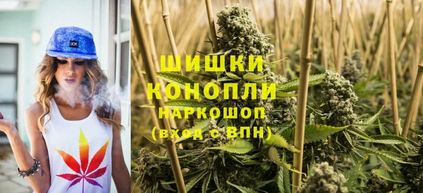 тгк Горняк