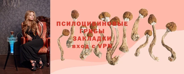 PSILOCYBIN Бронницы