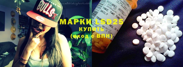 PSILOCYBIN Горно-Алтайск