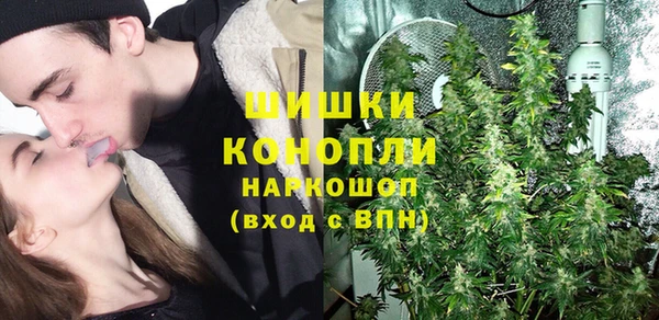 PSILOCYBIN Горно-Алтайск