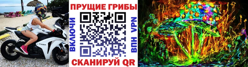 Псилоцибиновые грибы прущие грибы где можно купить Джанкой