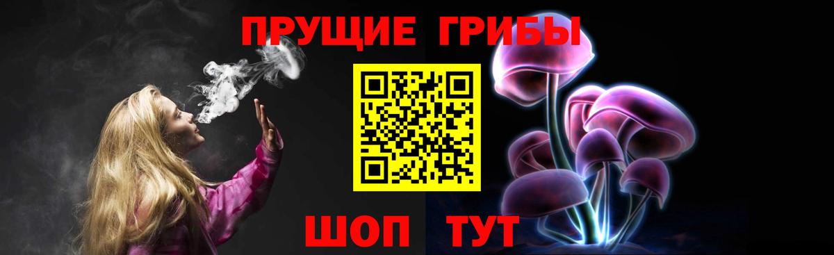 Джанкой  Галлюциногенные грибы Psilocybine cubensis  Вход с VPN 